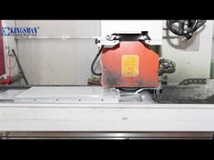 곰팡이 생산 작업실 전시